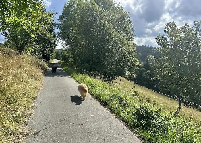 Romantikchalet Neuastenberg/winterberg Semesterbostad Winterberg