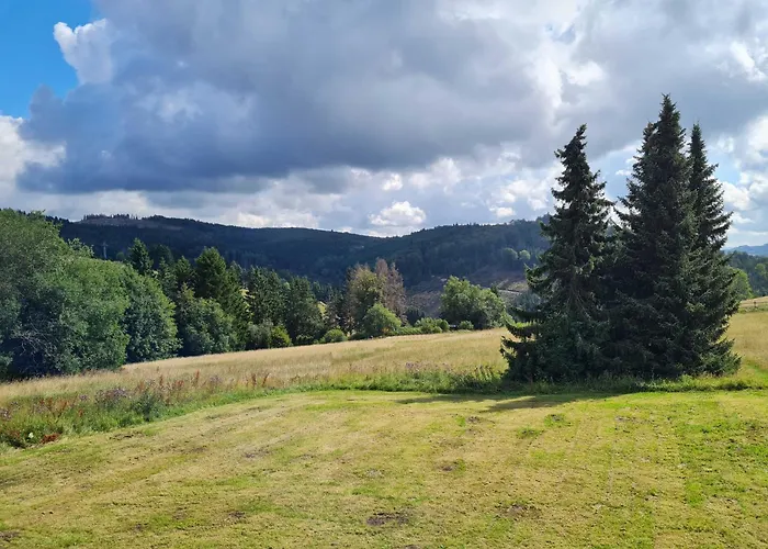 Romantikchalet Neuastenberg/winterberg Winterberg